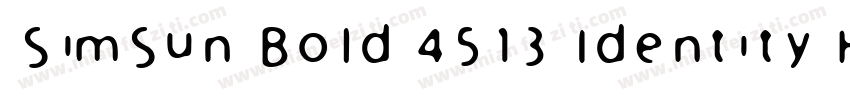 SimSun Bold 4513 Identity H字体转换